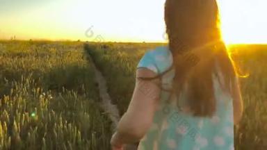 美丽的女孩运行在绿色麦田在日落的天空。自由概念。麦田在日落。慢动作