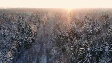 雪花飘落。冬季仙境。下雪了雪。日落黄昏的阳光。森林<strong>树木</strong>森林自然。慢动作。冬天背景。浪漫的仙境。环境优美