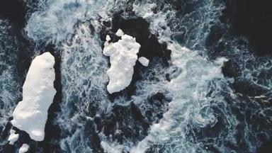 雄伟的南极海水冲浪鸟图