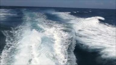 在安达卢西亚直布罗陀海峡，从观看快艇的鲸鱼身上<strong>看到</strong>的龙水