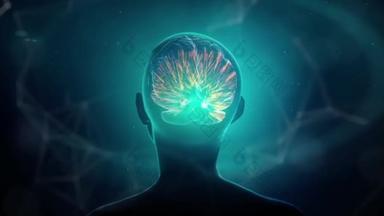 神经元在大脑中传递信息。神经元是沿着大脑通路的化学和电信号传递的细胞.