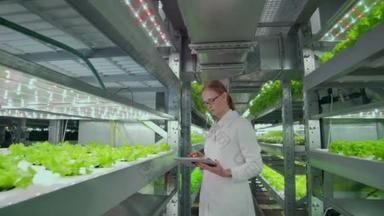 相机沿着走廊的反向运动，一个现代化的农场，科学家穿着白色外套检查，触摸绿色植物.