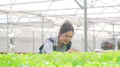 早上在温室花园从水栽菜园收获绿色橡木的年轻迷人的亚洲女农场主。有机农业促进健康、马达加斯加食品、小企业概念.