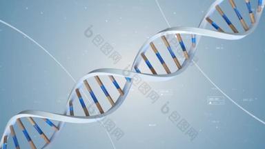 人类DNA的结构是在化合物和数量的背景下<strong>旋转</strong>的。概念科学技术3D动画无缝循环.