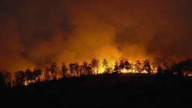 森林火灾是人类引起的火灾。