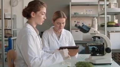 <strong>两</strong>名年轻女科学家总体上身穿医用手套，坐在生化实验室工作台上，用显微镜进行植物实验的中片照片