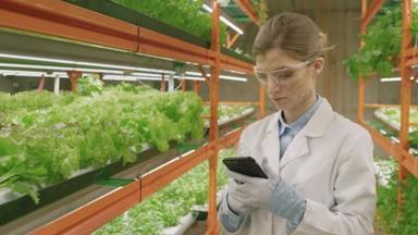 穿着实验室外套和防护眼镜的年轻女性植物学家在垂直农场工作时使用智能手机，站在绿苗架子中间的慢动作中期照片