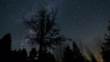 在星夜夏夜的<strong>森林</strong>轮廓上，<strong>星空</strong>闪烁着银河般的银河