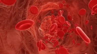 红血球在动脉中流动.3d视频