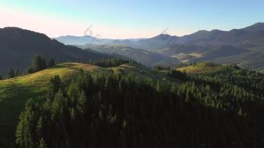 阳光明媚的高山山谷和高山草甸.地点：乌克兰喀尔巴阡山脉，欧洲。电影空中拍摄。发现地球的美丽。以4k，无人驾驶视频拍摄.