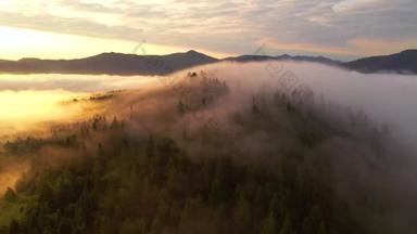 鸟瞰着覆盖着高山的浓雾,鸟瞰着壮丽的景色.地点：乌克兰喀尔巴阡山脉，欧洲。电影空中拍摄。地球的美丽。以4k，无人驾驶视频拍摄.