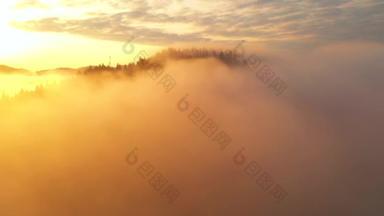 浓浓的浓雾笼罩在晨光中的群山之上.地点：乌克兰喀尔巴阡山脉，欧洲。电影空中拍摄。发现地球的美丽。以4k，无人驾驶视频拍摄.