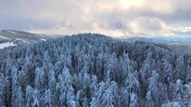 罗马尼亚喀尔巴阡山脉冬季无人驾驶飞机图像。覆盖着积雪森林的小山和山峰，低云