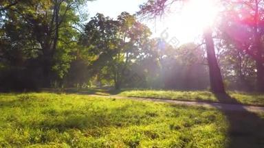 夏日阳光明媚的早晨，公园里，绿油油的草地，泥泞的小径，阳光灿烂的阳光穿过树干和树枝。阳光的光芒美丽的自然背景