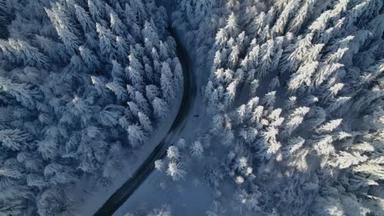 白雪公主：一条蜿蜒曲折的柏油路，蜿蜒穿过被白雪覆盖的神奇冬季森林。飞过弯弯曲曲的道路，穿过美丽的白色森林，树梢上覆盖着刚刚下过雪的云杉.