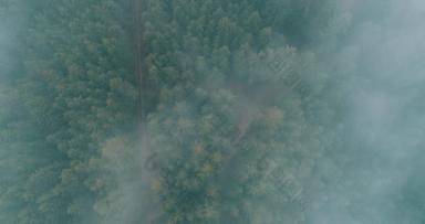 山上多雨的天气.云雾吹过松树林.多雾天气下山上云杉林的空中摄像.