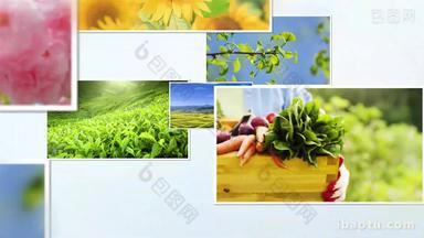 绿色农业生态自然图片汇聚片头