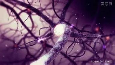 真正的神经元突触<strong>网络</strong>动画。人类脑内全高清的无限循环