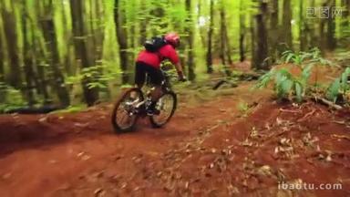 山地自行车森林<strong>小径</strong>。年轻的健身男子骑山地自行车。户外活动夏季生活方式。稳定射击.