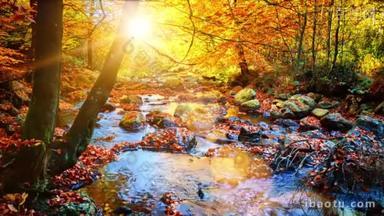 秋季景观与森林溪流