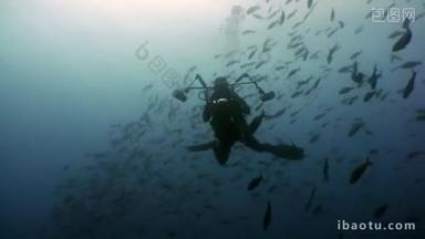 潜水员电影相机操作员制作一个视频关于<strong>鱼</strong>的学校 undwewater.