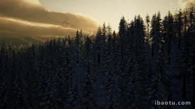 夕阳的冬季景色
