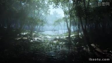 神秘的<strong>森林中</strong>的<strong>河流</strong>与雾