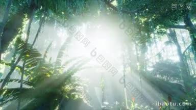 雨林里被明亮的绿色苔藓覆盖的图片