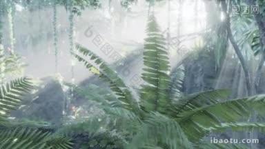 雨林里被明亮的绿色<strong>苔藓</strong>覆盖的图片