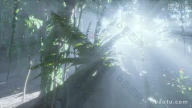 雨林里被明亮的绿色<strong>苔藓</strong>覆盖的图片