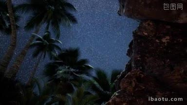 夜间岛上的椰树林