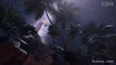 夜间岛上的<strong>椰树林</strong>