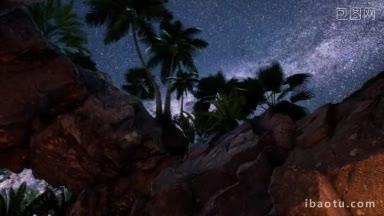 夜间岛上的椰树林