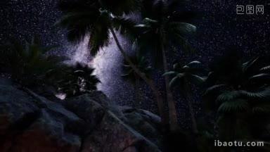 夜间岛上的<strong>椰树林</strong>