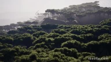 远处散落的阿卡西亚树在纳米比亚的非洲景观中覆盖着<strong>山峰</strong>