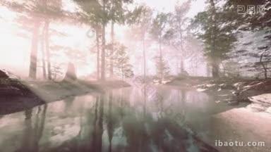 神秘的森林里黑暗的池塘