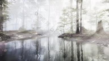 清晨,白色<strong>浓</strong>雾</strong>覆盖着池塘
