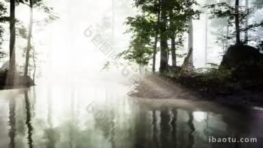 池塘沼泽,树下<strong>独一无二</strong>的大气和雾