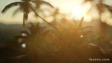 棕榈绿洲小径是国家公园众多的<strong>热门</strong>旅游项目之一