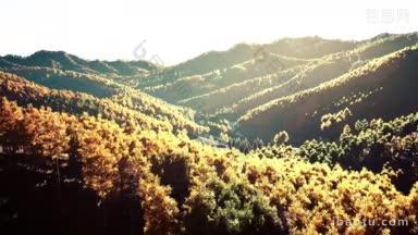 瑞士<strong>山</strong>林的秋天景色和蓝天