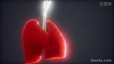 d对肺部进行医学精确的动画