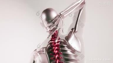 d绘制了金属<strong>脊椎</strong>的医疗精确动画