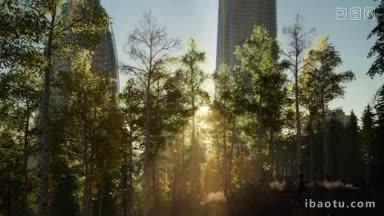城市森林在城市高楼大厦中矗立