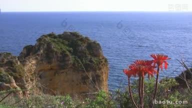 红色的花朵落在悬崖上绿色的悬崖上蓝色的岩石上