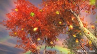 色彩斑斓的秋天树木与彩虹和暴雨动画非常适合秋天的主题