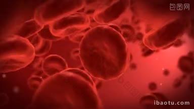 前面有一个红细胞的人体血细胞
