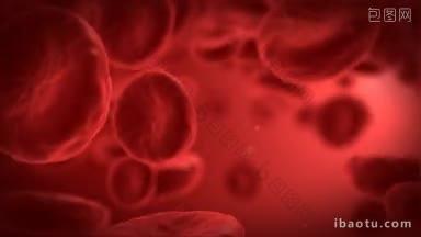 人类血液细胞