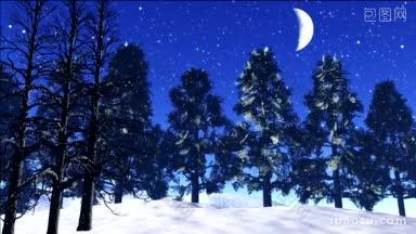星星在夜空中闪烁，雪花在冬天飘落