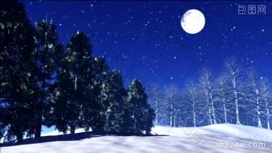 星星在夜空中闪烁，雪花在冬天飘落