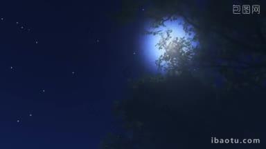 星星在夜<strong>空中</strong>闪烁，满月在摇曳的树后